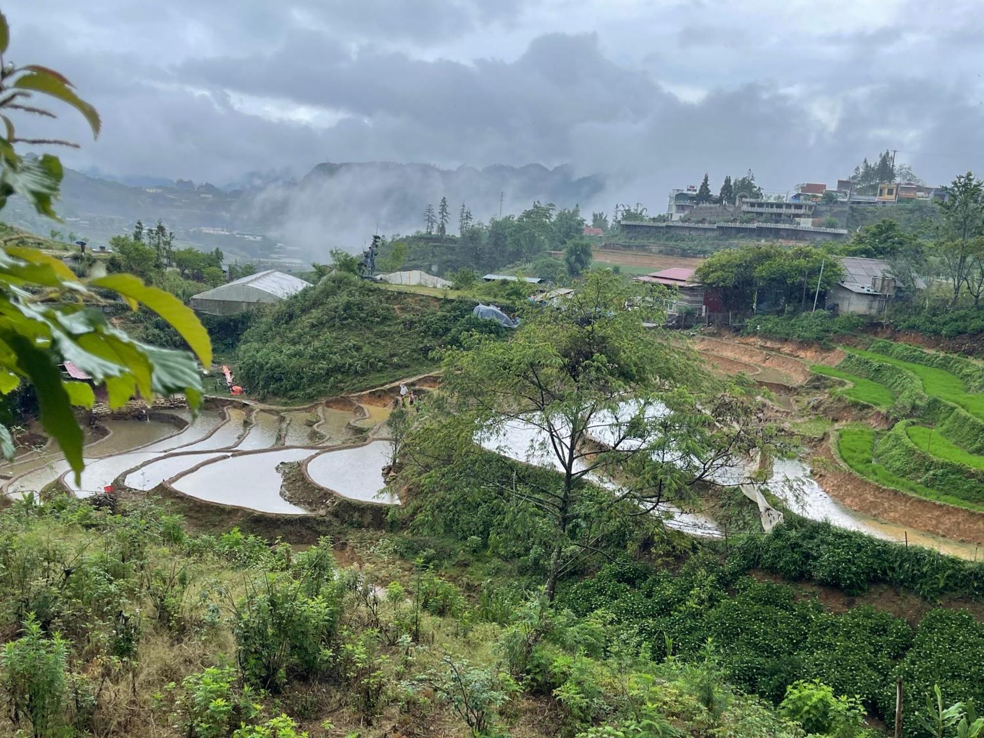 Pea Homestay Sapa Exterior foto