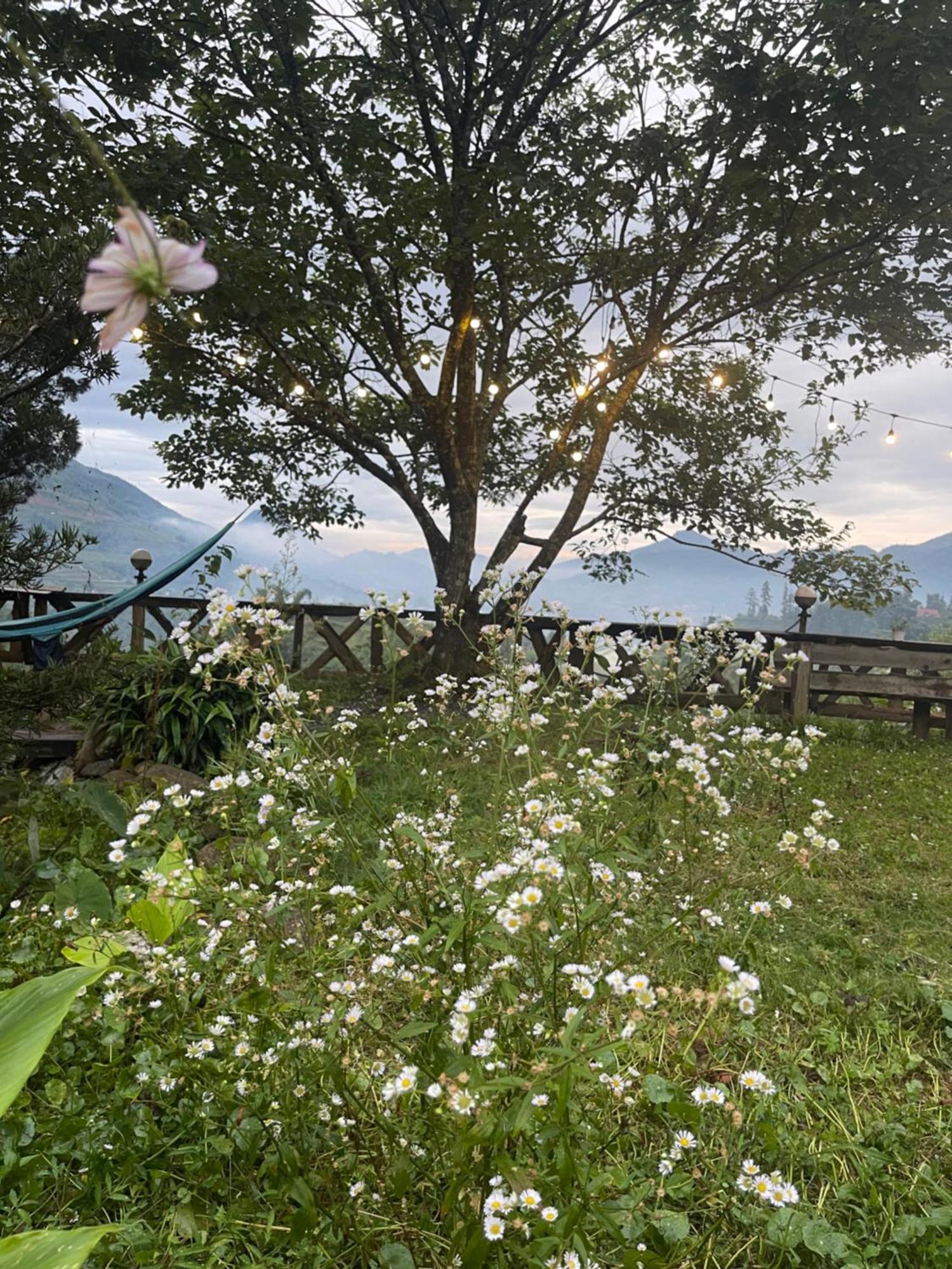 Pea Homestay Sapa Exterior foto